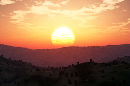 Deforestation is a 20th and 21st century issue in global scale.Human clean huge areas every day on Earth that can cause soil erosion destruction, water cycle, loss of biodiversity and climate change.の写真素材