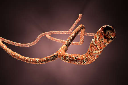 Microscopic Ebola Virus 3D render