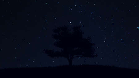 Lonely Tree under Amazing Clean Night Sky with Stars 3D Illustrationの写真素材