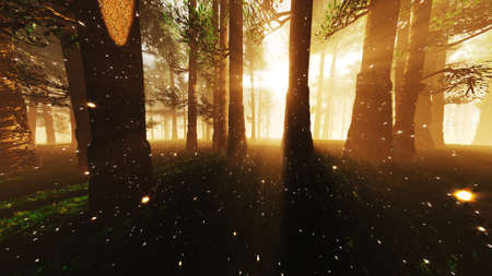 Mystic Fantasy Woods with Lightrays and Fireflies 3D Illustrationの写真素材