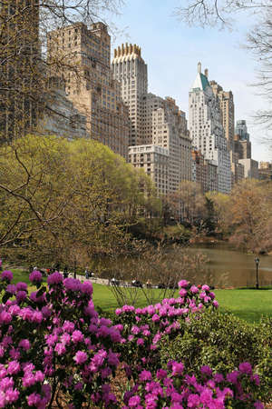 View at New York skyscrapers from Central Parkの写真素材