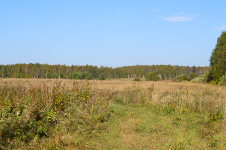 midday fieldの写真素材