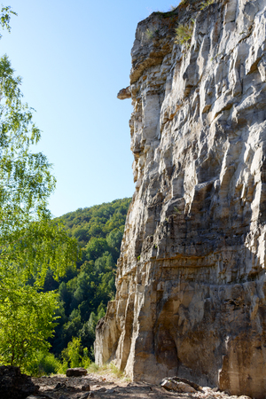 rock in the forest with blue sky  background.の写真素材