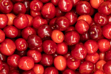 Cherry background. Flat layの写真素材