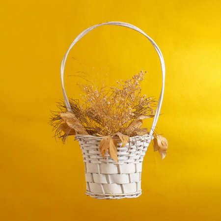 Basket with withered flowers. A hint of autumn on a golden yellow background.の写真素材