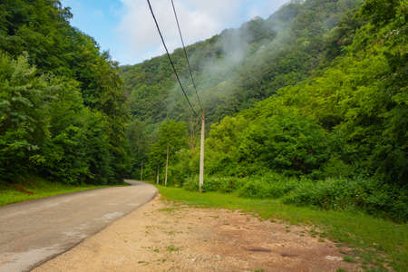 Road to Majdanpek. Wonderful nature of a summer morning.の写真素材