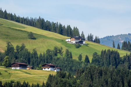 Eben im Pongau, Salzburg - Austria. View reveals picturesque alpine plateau with beautiful houses, lush trees, and verdant meadows.の写真素材