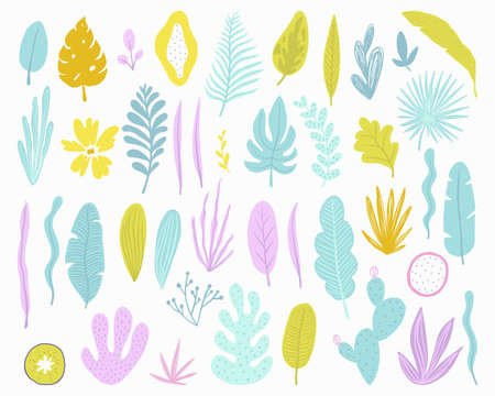 Summer time illustration. isolated objects.のイラスト素材