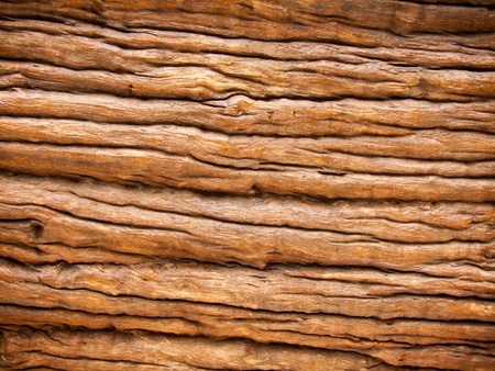 Tectona grandis natural texture of old hard wood