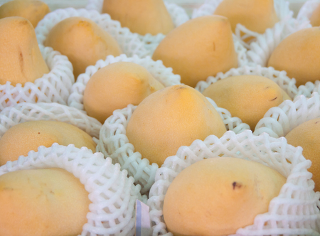 Mango sweet and is a product of the agricultural exports 