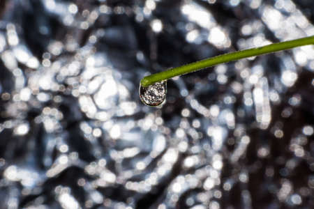 water drop silver reflectionの写真素材