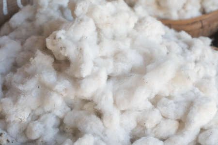 Cotton Wool