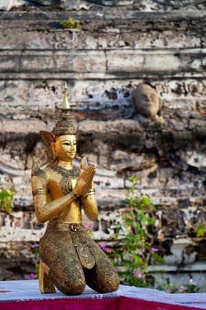 gold buddhaの写真素材