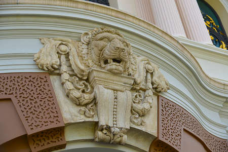 Lion Headの写真素材