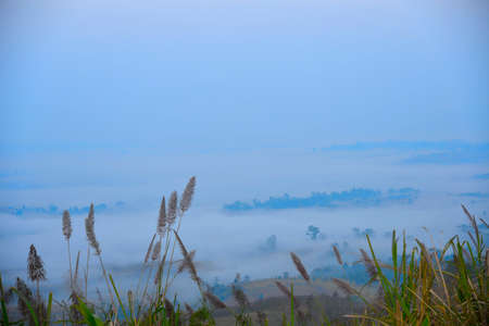 Fog Landの写真素材