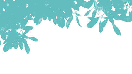 Green watercolor background for textures backgrounds and web banners designのイラスト素材