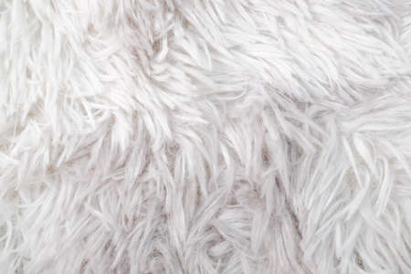 Texture of gray carpet background.の写真素材