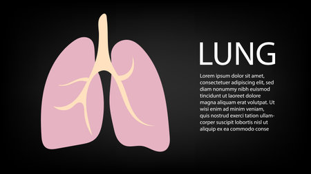 Lung on black background. vector illustration.のイラスト素材