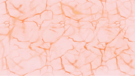 Abstract pink watercolor background.Hand painted watercolor. vectorのイラスト素材