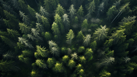 Green forest. Top view. Generative AIの素材