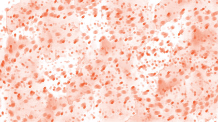 Abstract orange watercolor background.Hand painted watercolor. vectorのイラスト素材