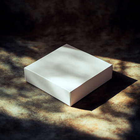 Mockup box on white background.の素材