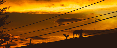 golden hour sunsetの写真素材