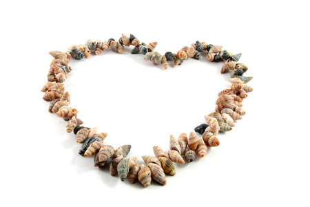 Heart made from sea shells isolated on white with a bit of shadowの写真素材