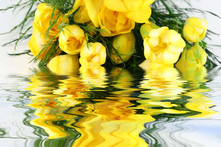 spring yellow flowers bouquet with green leafs reflectiong in waterの写真素材