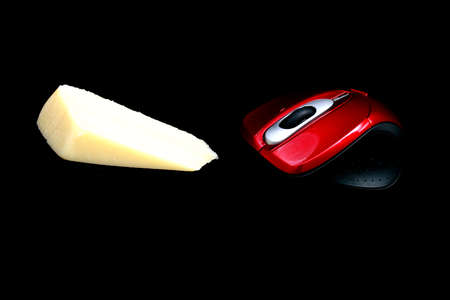 computer mouse and cheese on a black backgroundの写真素材