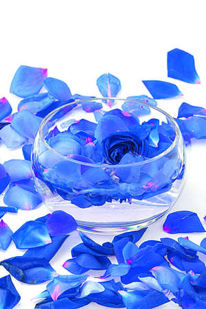 Roses petals on a white  in a glass vaseの写真素材