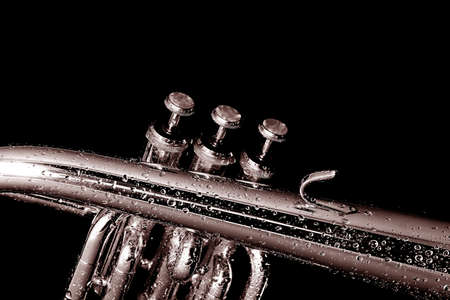 Details of a wet fluegelhorn on black with water drops on itの写真素材