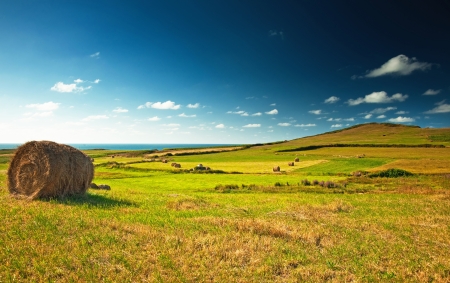 Nice spanish landscape at summerの写真素材