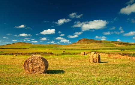Nice spanish landscape at summerの写真素材