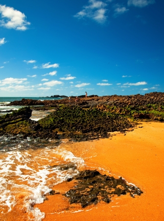 Nice beach at summer の写真素材