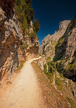 Pathway in the high mountains の写真素材
