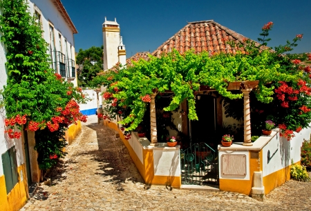 Nice house with flowers in portugalの写真素材