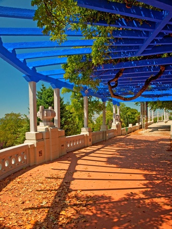 Nice pergola in the park at summer の写真素材