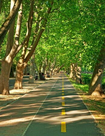 Bicycle Road with Sign の写真素材