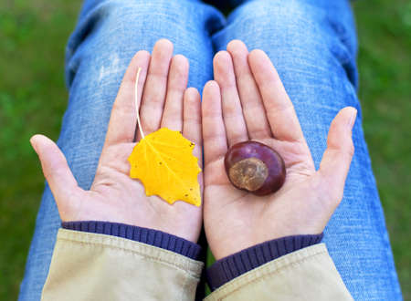 Autumn in the hand 