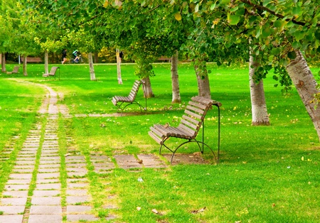 Park in the city の写真素材