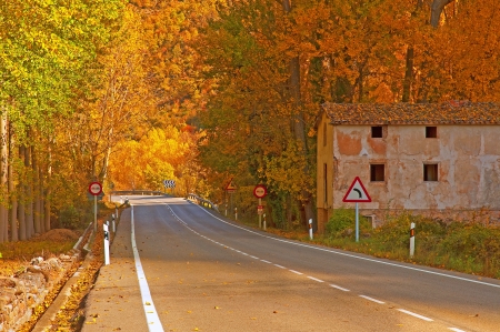 Nice park in autumn の写真素材