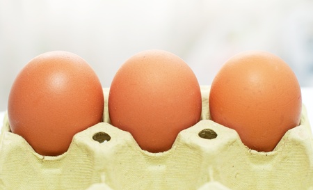 Eggs