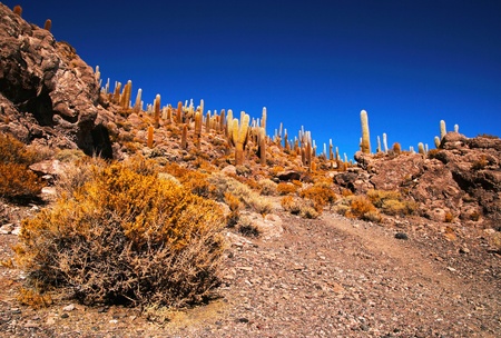 Nice Bolivian sceneの写真素材