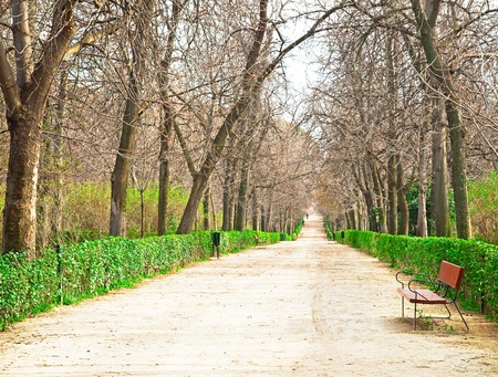 Park in the city の写真素材