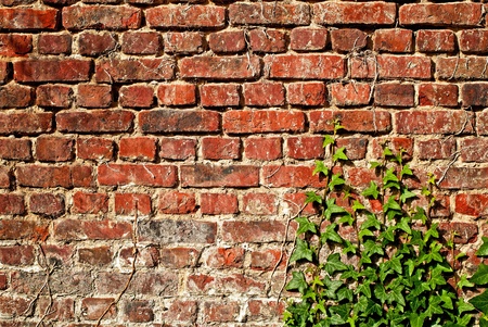Wall