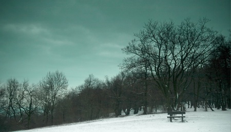 Nice winter sceneの写真素材