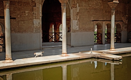 Artificial lake in the Alhambra in Granada, Spain