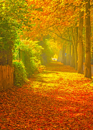 Nice autumnal sceneの写真素材