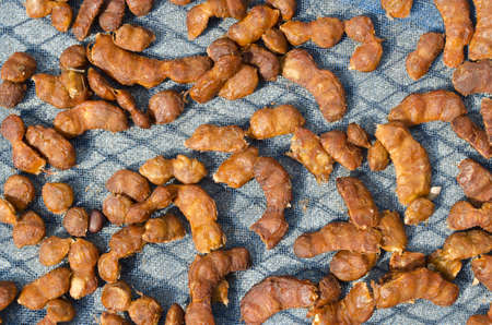  tamarind dry use for ingredient in thai food の写真素材